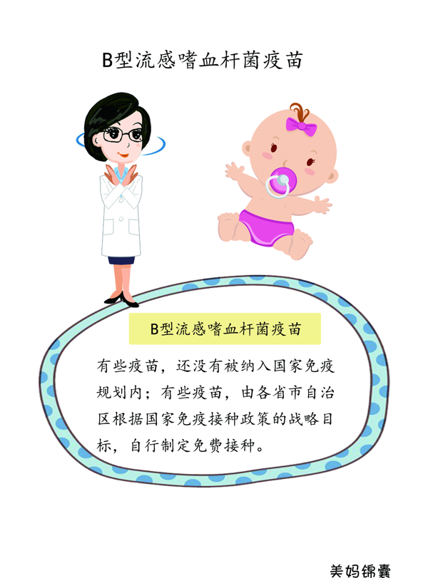 疫苗hib是什么意思(hib免疫疫苗)