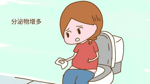 排卵期怎么算的(排卵期是什么时候怎么算)