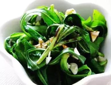 苦苣菜(苦菊和苦苣一样吗)