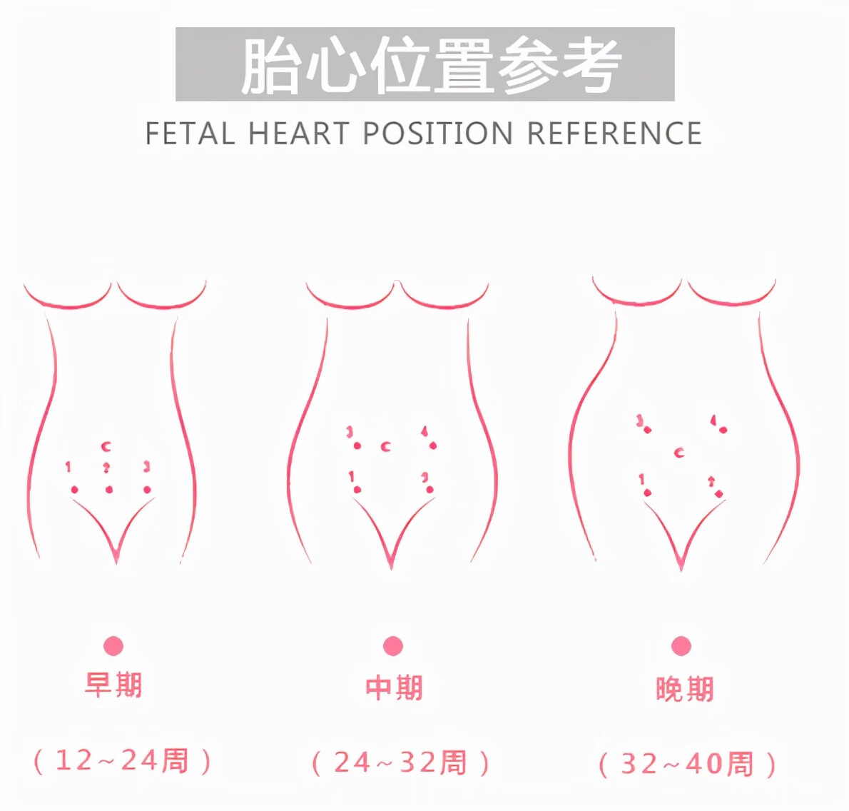 家用胎心仪找胎心技巧(家用胎心仪有用吗)