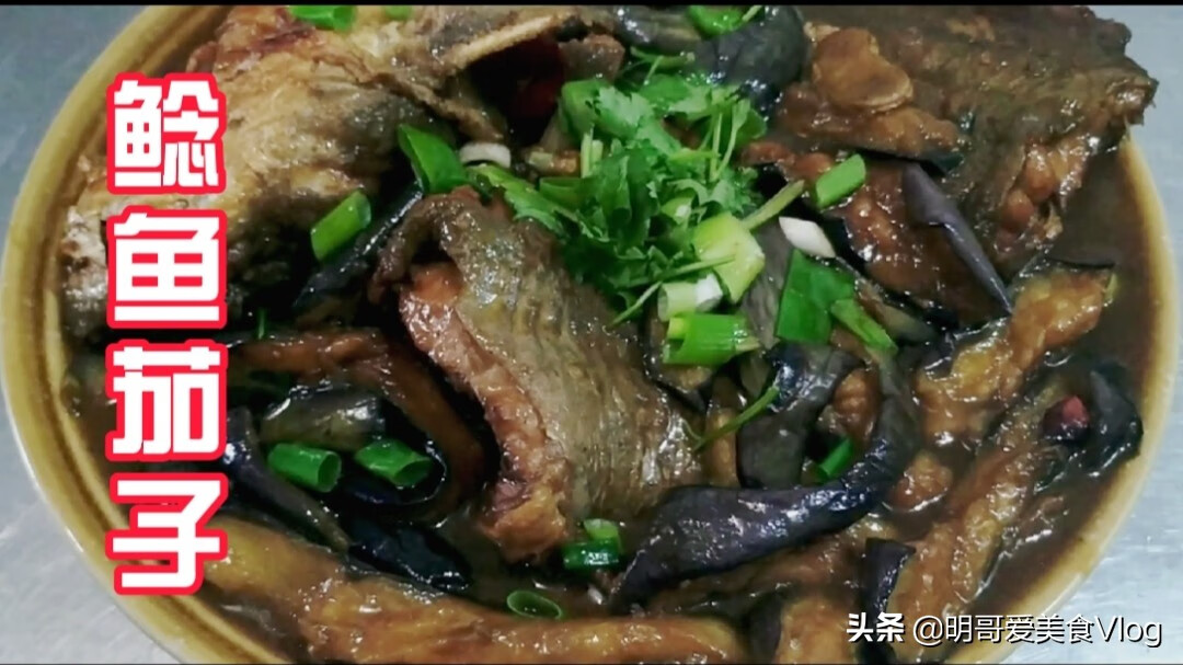 鲶鱼炖茄子的做法大全(家常清炖鲶鱼的做法)