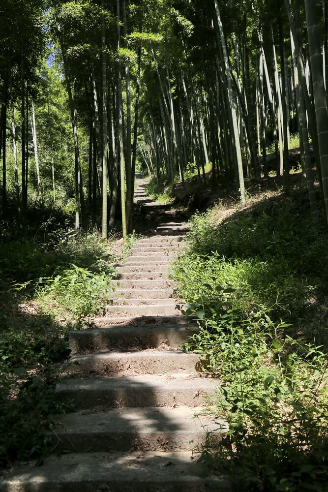 湖州菁山的风水先生(湖州仁皇山)