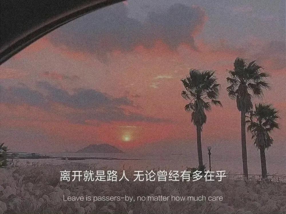 文章段落摘抄赏析