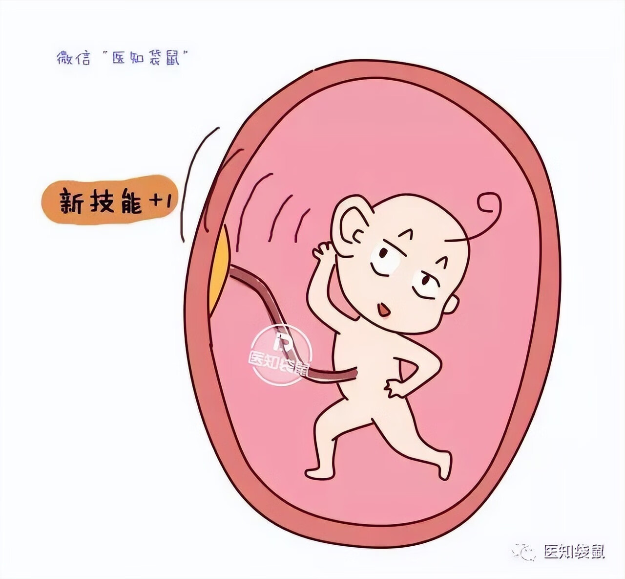 怀孕5个月胎儿图片(五个月胎儿图片 有多大)