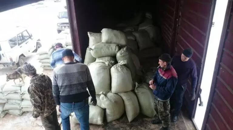 熊掌的价钱(熊掌的价格是多少)