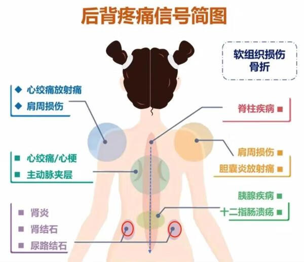 身体背部疼痛的原因(后背里面疼痛是什么原因)