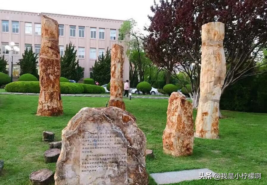 辽宁师范大学研究生院在哪(辽宁师范大学研究生好考吗)