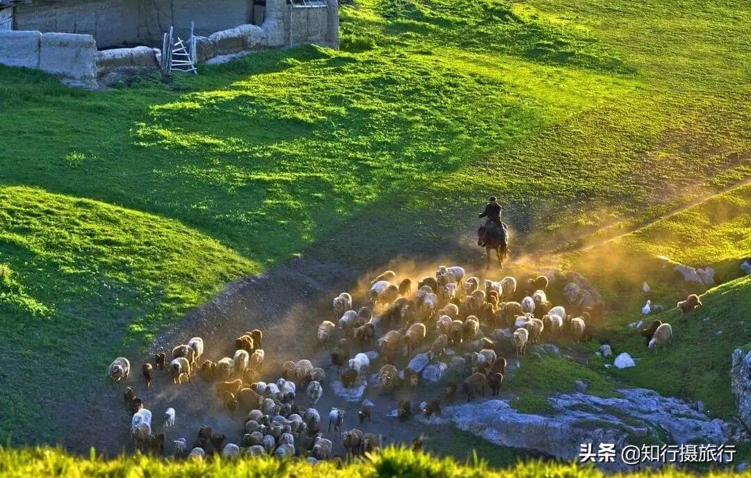 暑假去哪里旅游最好?(暑假去哪里玩最合适)