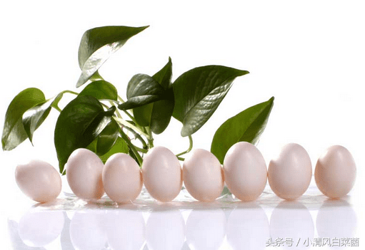孕妇可以吃鸽子蛋吗?(怀孕期能吃鸽子蛋吗)