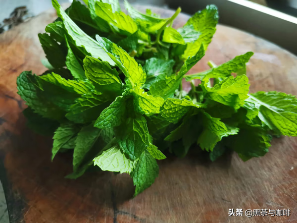 薄荷叶的吃法和用途 薄荷叶的吃法和做法