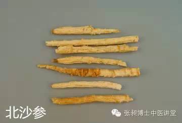 北沙参的功效与作用点用
