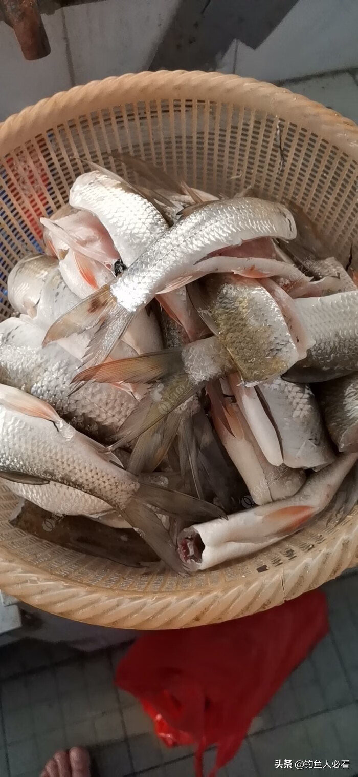 鲮鱼的做法大全(炸鲮鱼的做法大全)