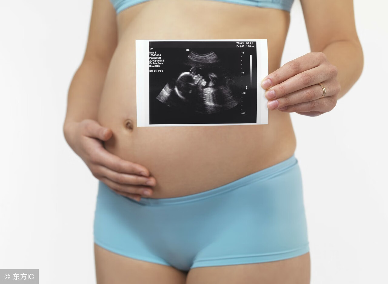 怀孕5个月胎儿有多大真实图(孕5个半月孩子有多大)