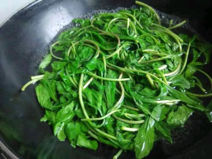 马兰头的功效与作用(马兰头的功效与作用是什么)