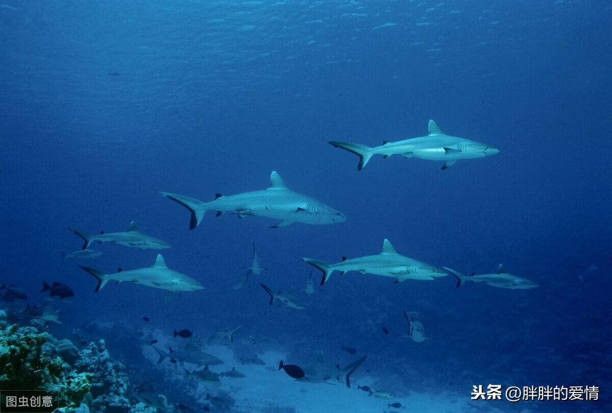 生活就是沸腾的海洋，就要有大风大浪，那才叫波澜壮阔呢