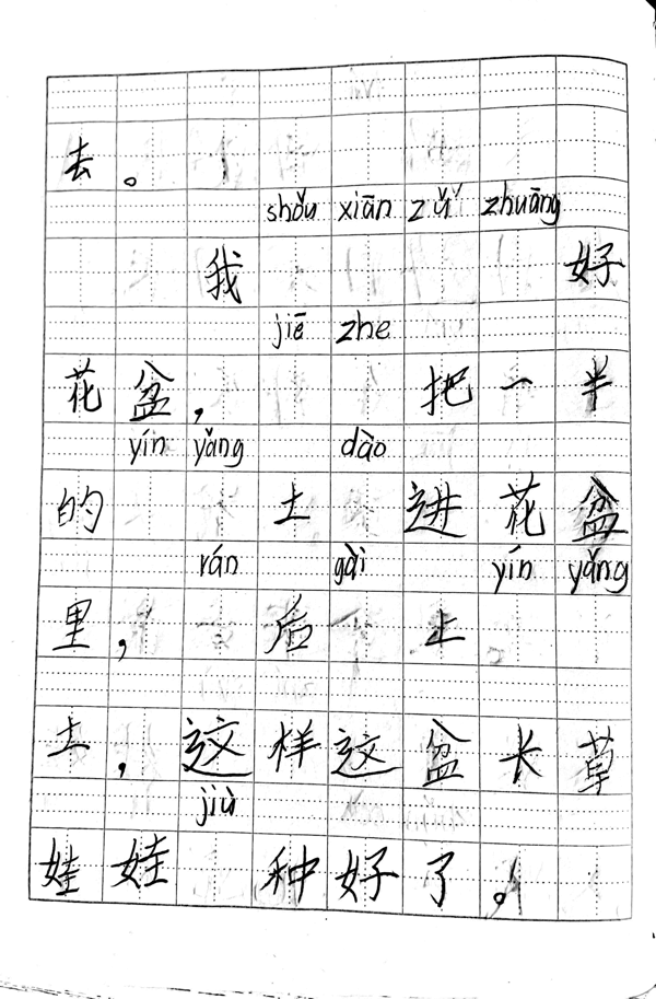 植物生长观察日记（1）