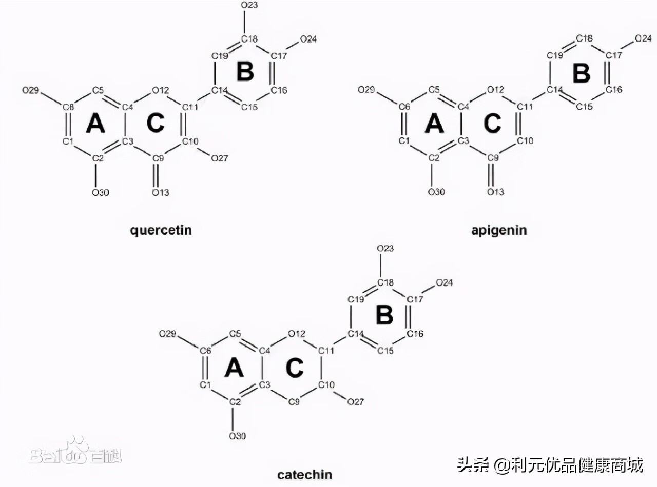 黄酮的作用与功效(黄酮的作用与功效百度百科)
