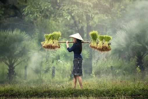 五一诗歌怎么写(五一劳动节的诗歌10首)