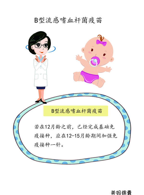 疫苗hib是什么意思(hib免疫疫苗)