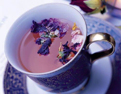 紫罗兰茶的功效(紫罗兰花茶)