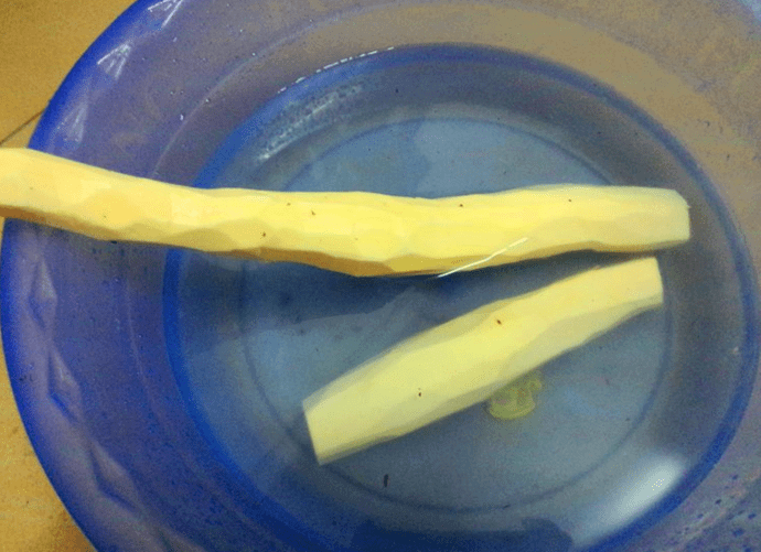木薯是什么东西(木薯的别名叫什么)