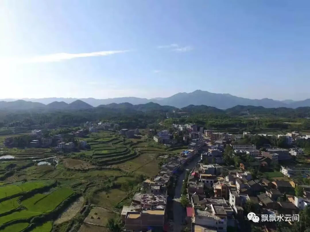 马骏 风水(河马风水寓意)