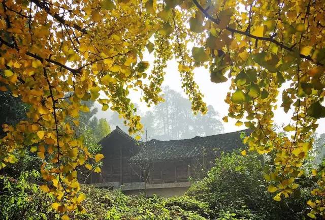 贵州黔北农村风水(贵州黔北旅游)