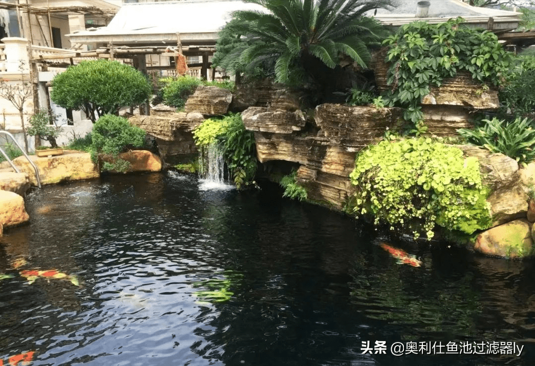 農家院建魚池的風水(農村院裡建魚池好不好)