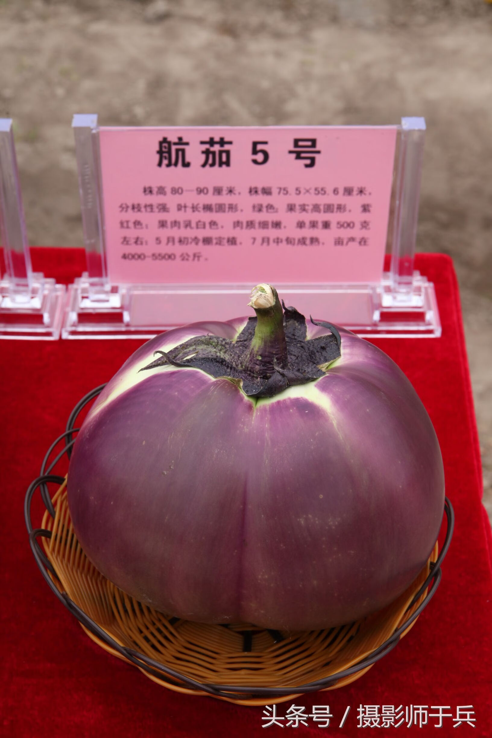 大庆哪个地方风水最好(大庆哪个楼盘的质量最好)