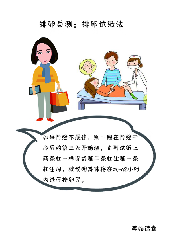 排卵试纸怎么用最准确(排卵试纸完整一个月图解)