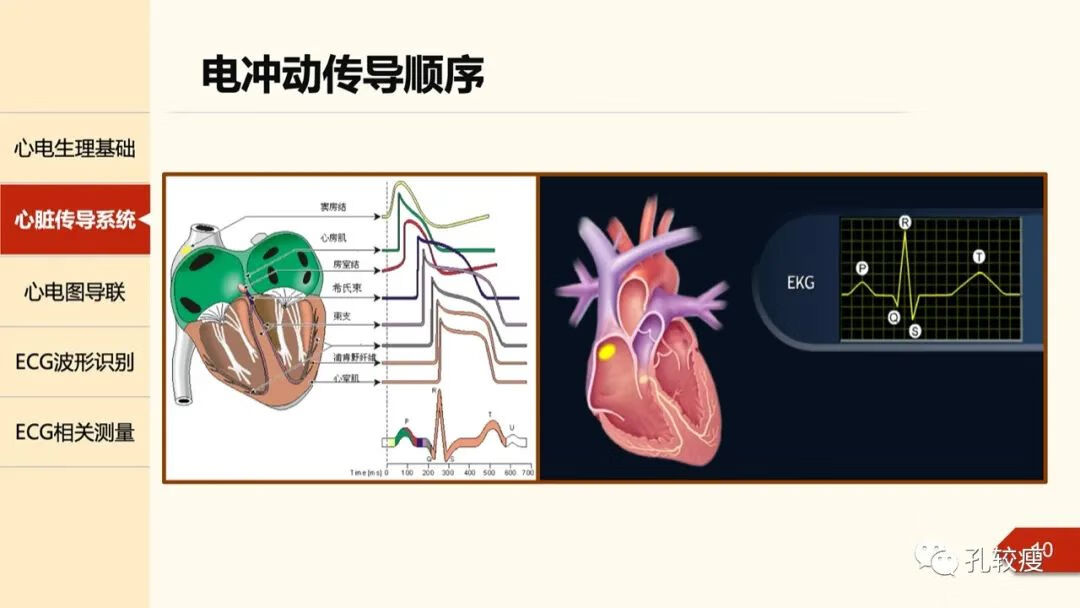 心电图导联位置示意图(心电图机导联位置图)