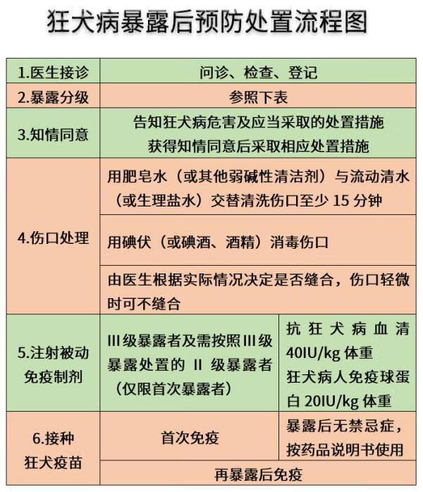 狂犬病的症状有哪些(狂犬病早期的10个征兆)