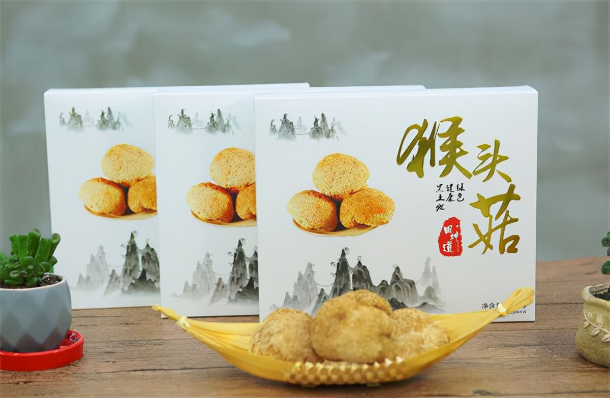猴头菇怎么吃