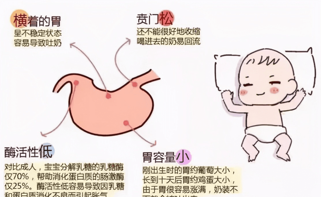 宝宝为什么吐奶的原因(婴儿为什么会吐奶怎么回事)