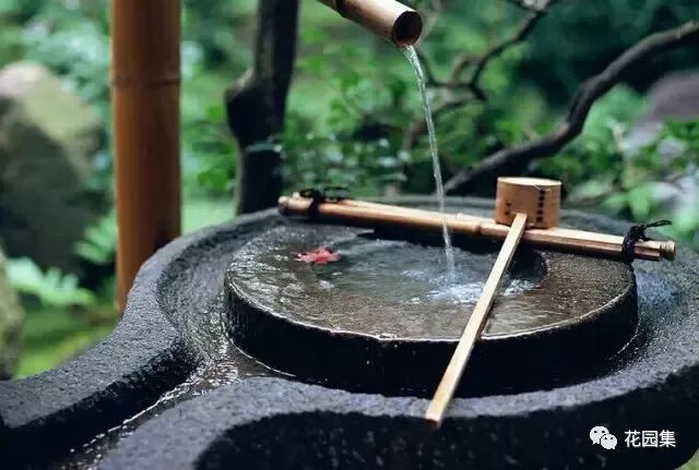 屋前后长青苔风水(门口长青苔好吗)