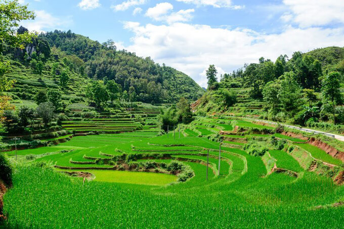 广西百色靖西风水宝地(广西风水宝地大全)