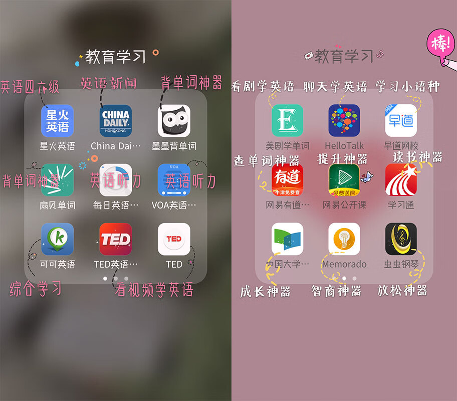 早道网校app(大连早道为什么一直招人)