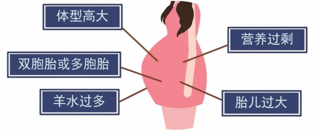 怀孕6个月的肚子多大(孕6个月肚子多大标准图)
