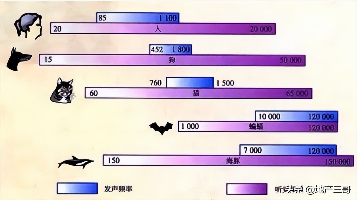 新动态英语翻译(掌握最新动态英文)