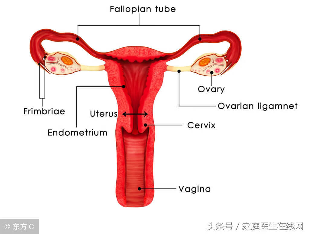 子宫内膜异位症治疗原则(子宫内膜异位症怎么治疗)