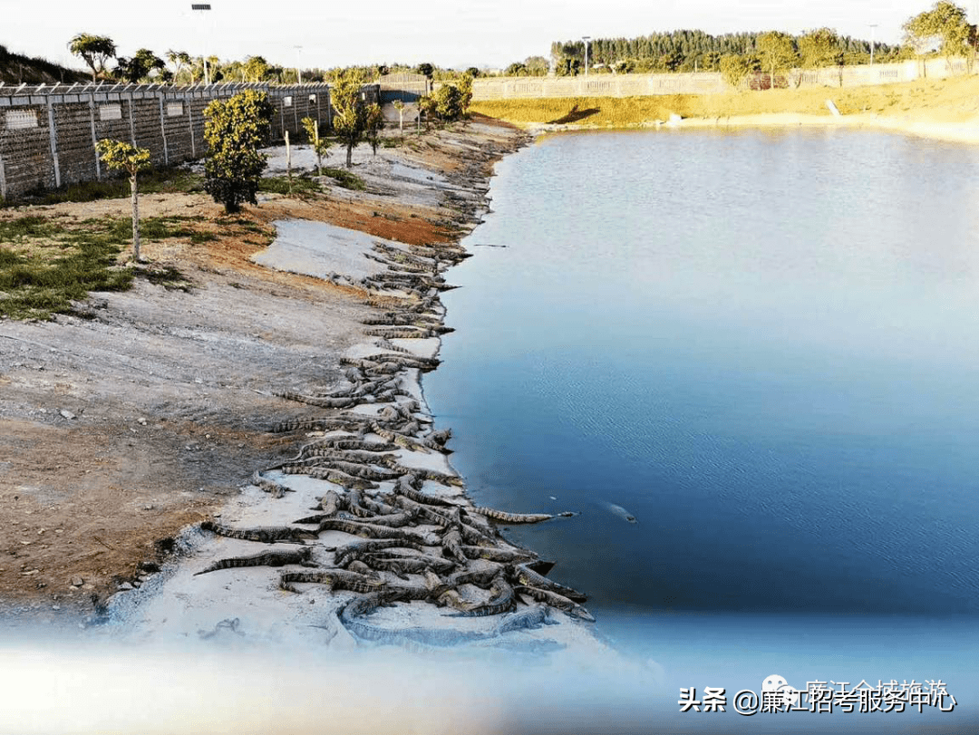 廉江市风水宝地(廉江附近的风水宝地)