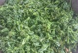 灰菜有什么功效与作用(灰灰菜的家常做法)