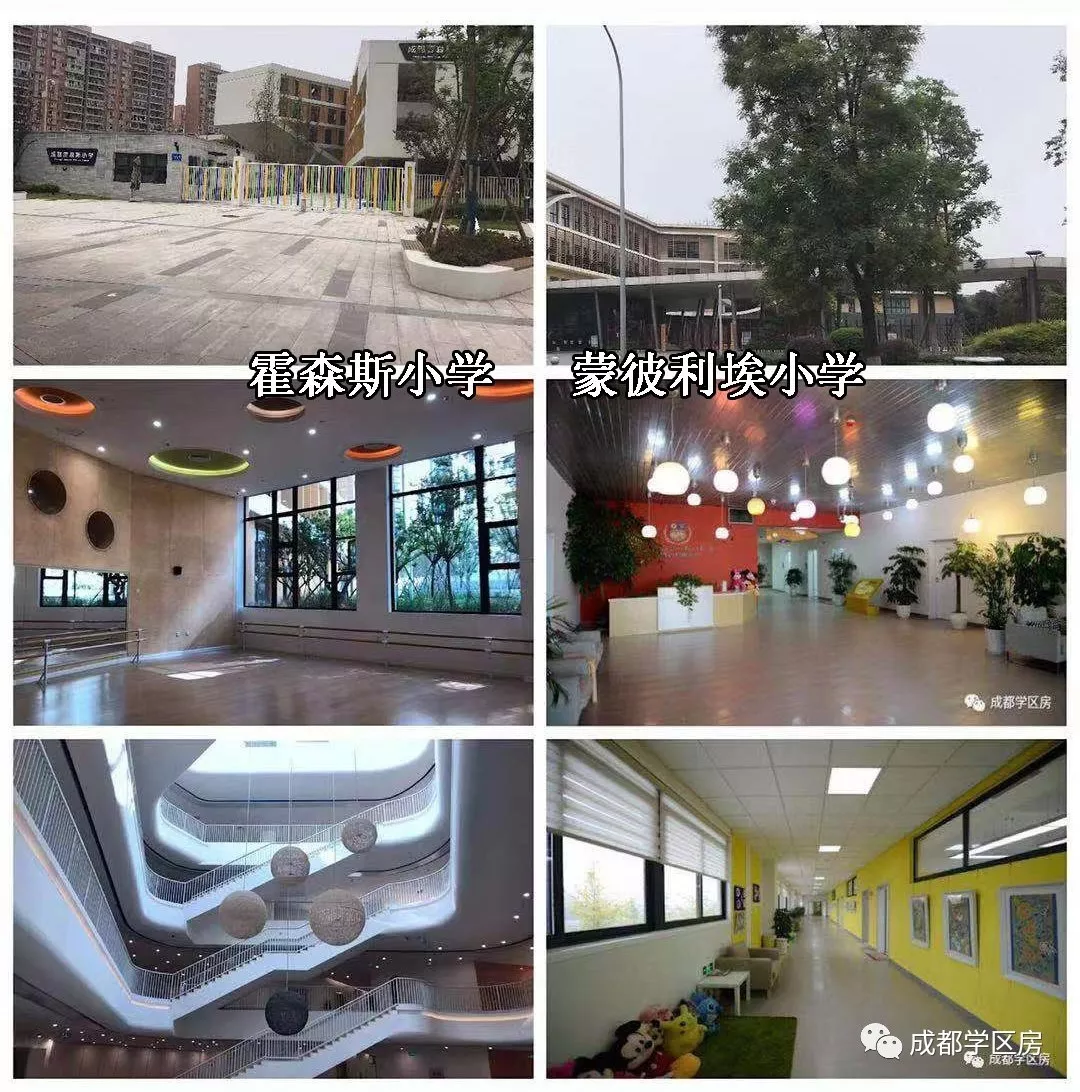 国际学校哪家比较好(排名好的国际学校)