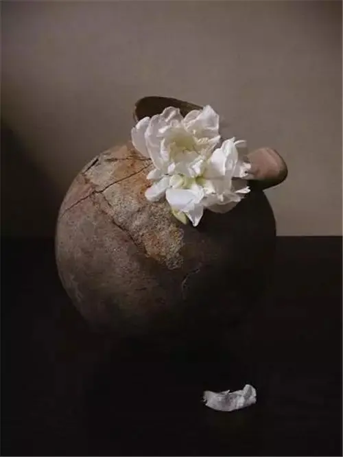 插花的文案(插花配文案)