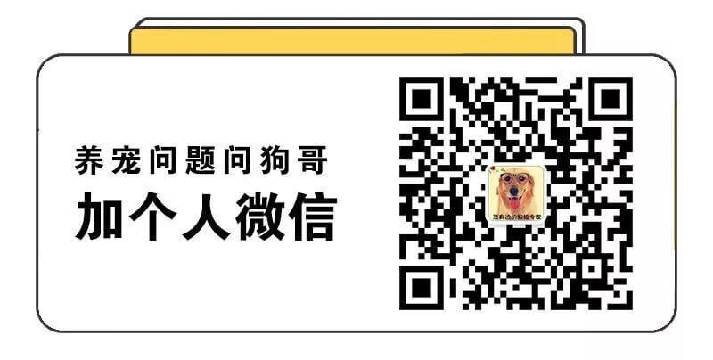 全国防伪查询网站(全国商品防伪查询中心)