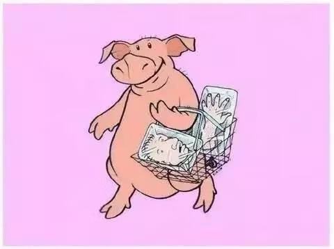 熊掌的价钱(熊掌的价格是多少)