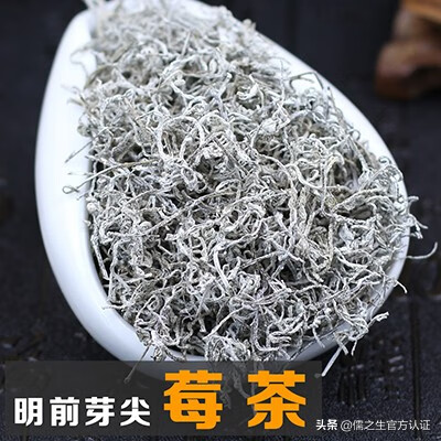 莓茶的作用(莓茶真的有那么神奇吗)