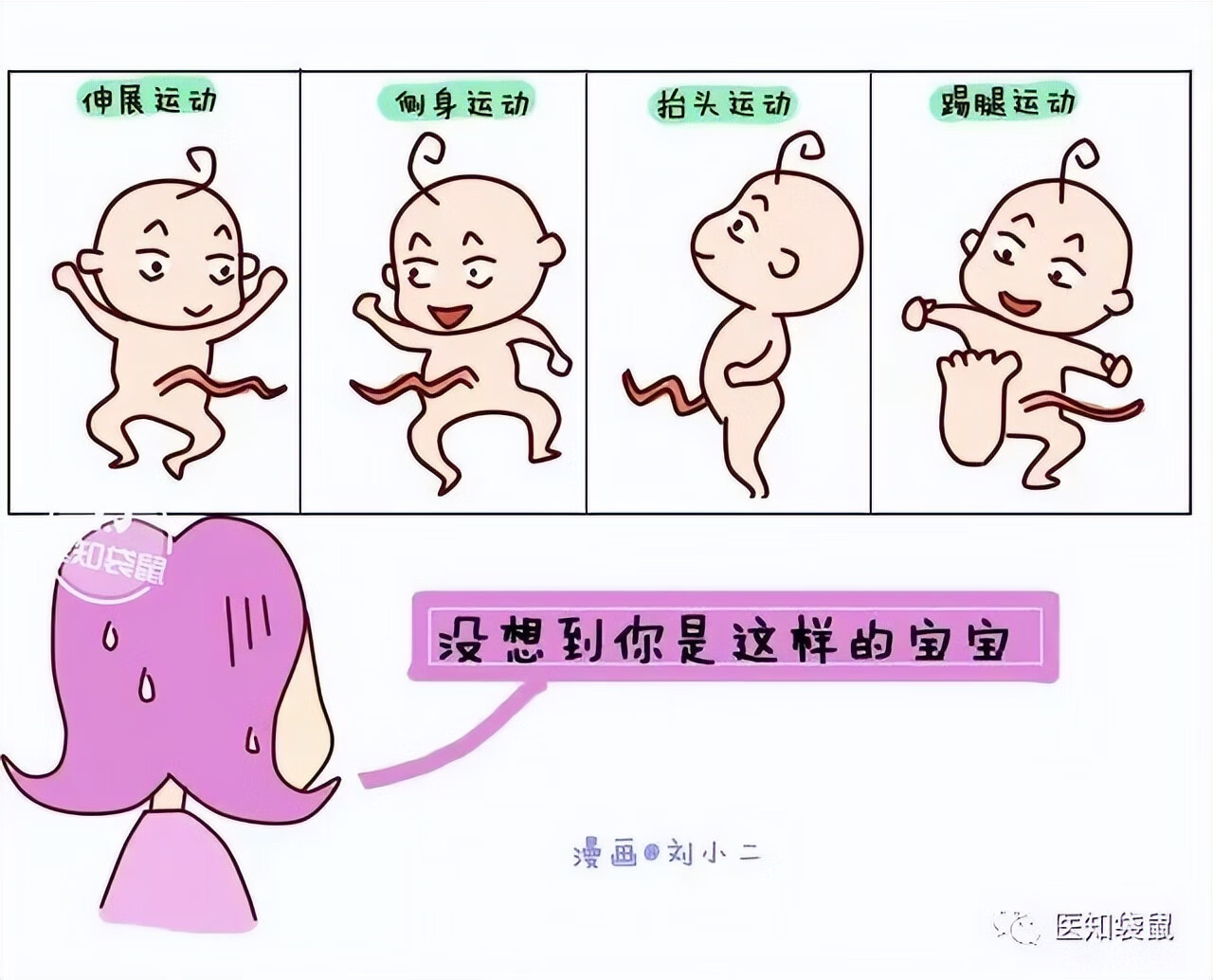 怀孕5个月胎儿图片(五个月胎儿图片 有多大)