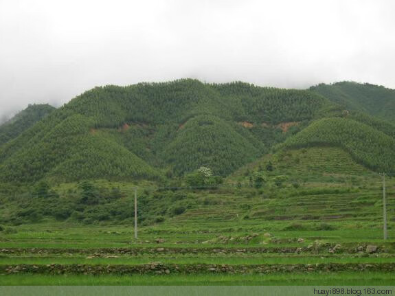 风水阴脉什么意思(风水阴房的意思)