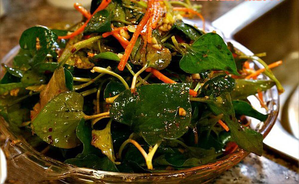 鱼腥草的吃法大全(鱼腥草泡水喝有什么功效)